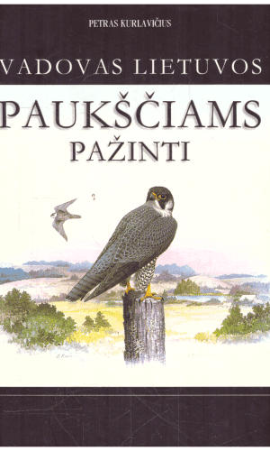 Vadovas Lietuvos paukščiams pažinti - Petras Kurlavičius