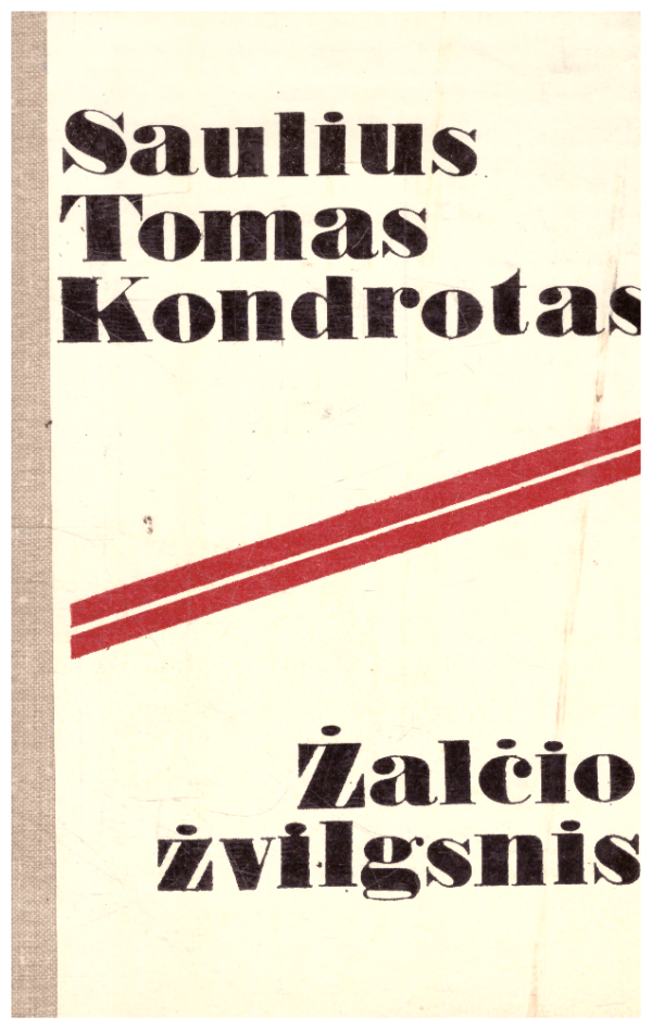 Žalčio žvilgsnis - Saulius Tomas Kondrotas