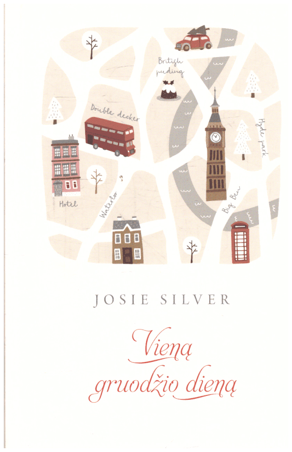 Vieną gruodžio dieną - Josie Silver