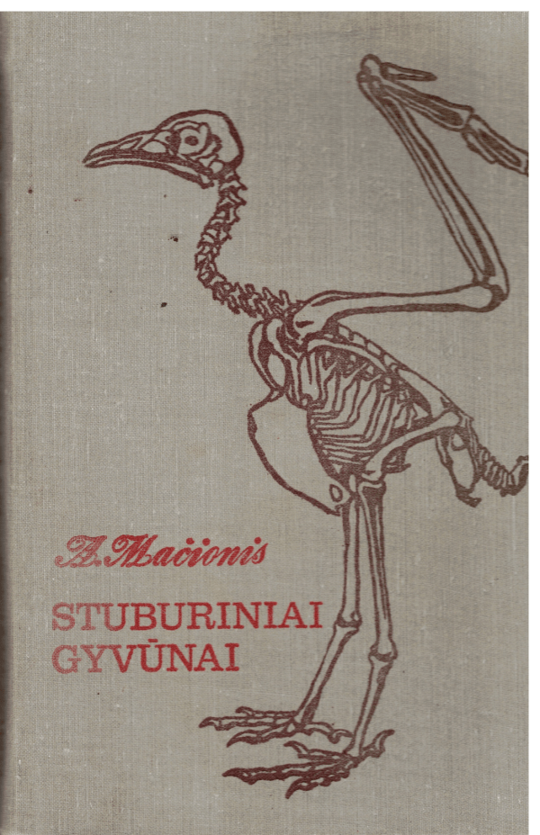 Stuburiniai gyvūnai - A. Mačionis