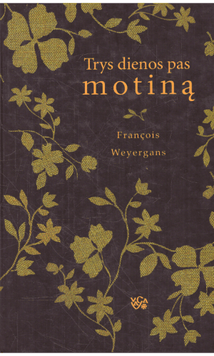 Trys dienos pas motiną - Francois Weyergans