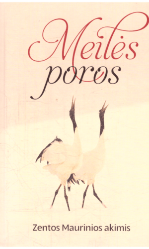 Meilės poros Zentos Maurinios akimis - Zenta Maurinia