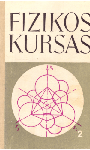 Fizikos kursas (2): elektra ir magnetizmas - B. Javorskis, A. Detlafas, L. Milkovskaja
