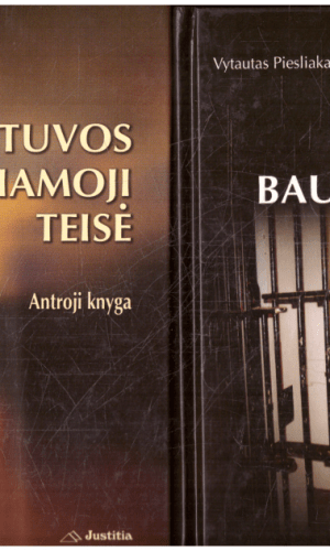 Lietuvos baudžiamoji teisė (1,2 knyga) - Vytautas Piesliakas
