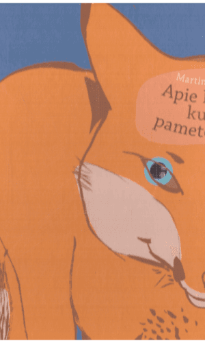 Apie Lapiną, kuris pametė protą - Martin Baltscheit