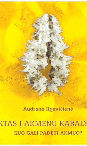 Raktas į akmenų karalystę. Kuo gali padėti akmuo? - Audronė Ilgevičienė