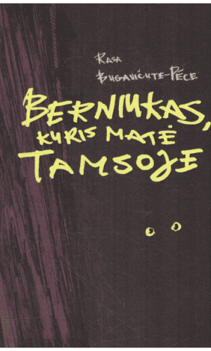 Berniukas, kuris matė tamsoje - Rasa Bugavičute-Pēce