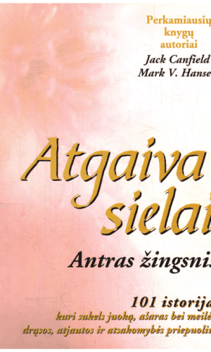 Atgaiva sielai. Antras žingsnis - Jack Canfield, Mark V. Hansen