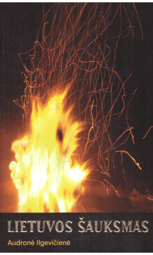 Lietuvos šauksmas - Audronė Ilgevičienė