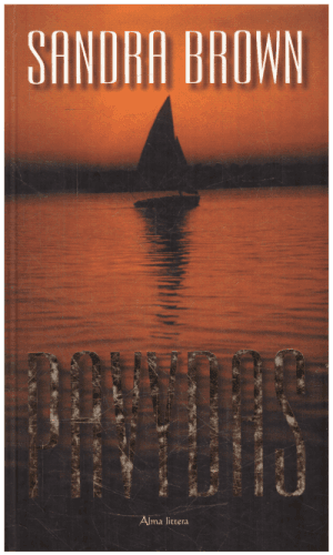 Pavydas - Sandra Brown