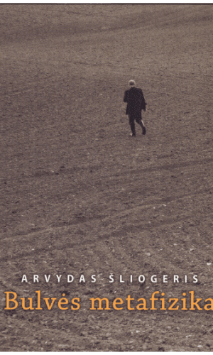 Bulvės metafizika - Arvydas Šliogeris