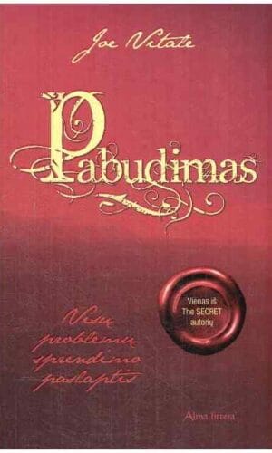 Pabudimas. Visų problemų sprendimo paslaptis - Joe Vitale