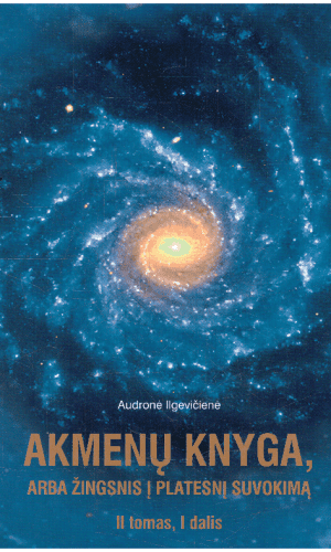 Akmenų knyga, arba žingnis į platesnį suvokimą (2 tomas, 1 dalis) - Audronė Ilgevičienė