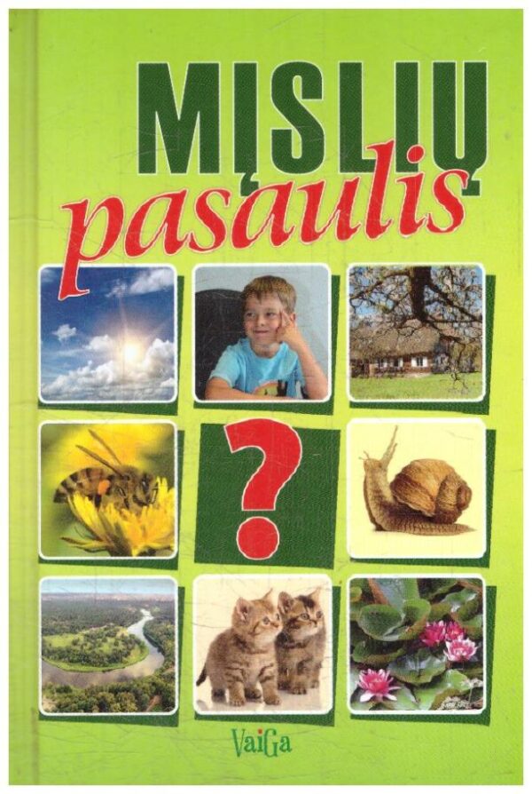 Mįslių pasaulis