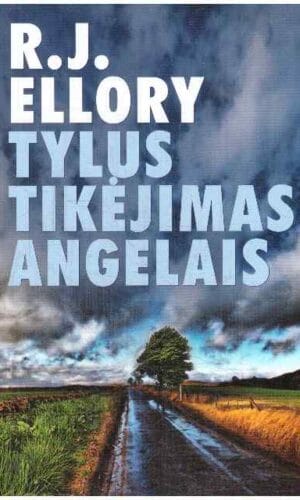 Tylus tikėjimas angelais - R. J. Ellory