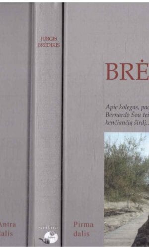 Kelionė (1,2 dalys vienoje knygoje) - Jurgis Brėdikis