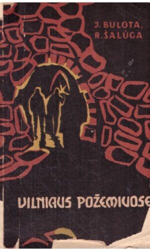 Vilniaus požemiuose - J. Bulota, R. Šalūga (viršelis paklijuotas)