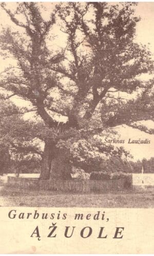 Garbusis medi, ąžuole - Šarūnas Laužadis