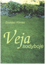 Veja sodyboje - Evaldas Klimas