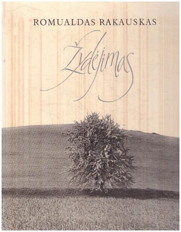 Žydėjimas - Romualdas Rakauskas