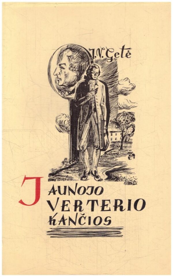 Jaunojo Verterio kančios - Johanas Volfgangas Gėtė