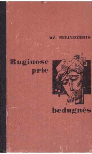 Rugiuose prie bedugnės - Dž. Selindžeris
