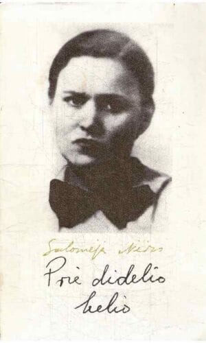 Prie didelio kelio - Salomėja Nėris