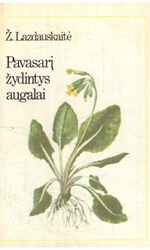 Pavasarį žydintys augalai - Ž. Lazdauskaitė