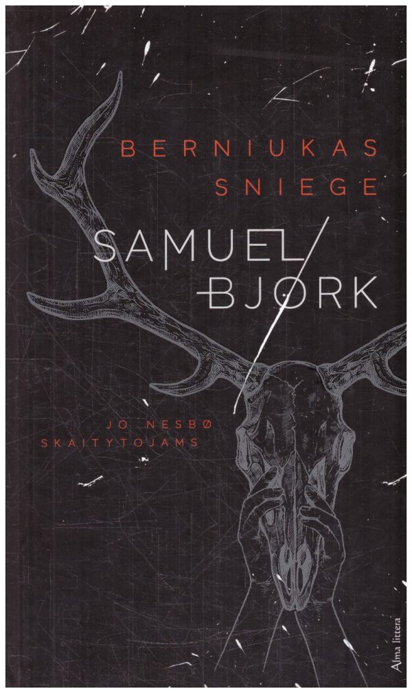 Berniukas sniege - Samuel Bjørk