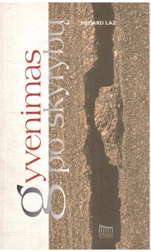 Gyvenimas po skyrybų - Medard Laz