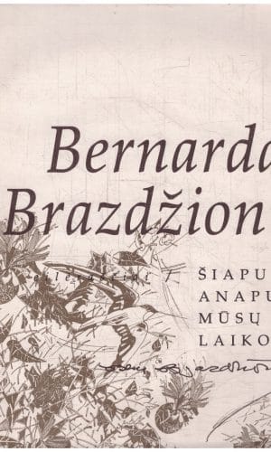 Šiapus ir anapus mūsų laiko - Bernardas Brazdžionis
