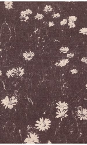 Lietuvos gamta - R. Budrys