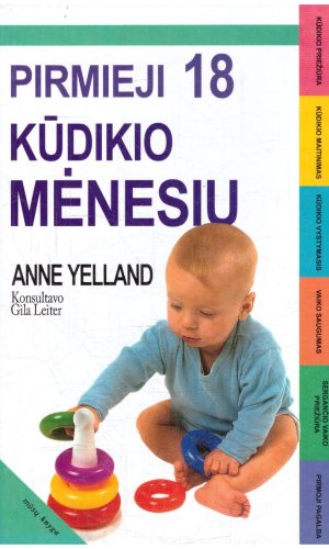 Pirmieji 18 kūdikio mėnesių - Anne Yelland