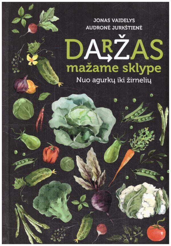 Daržas mažame sklype - Jonas Vaidelys, Audronė Jurkštienė