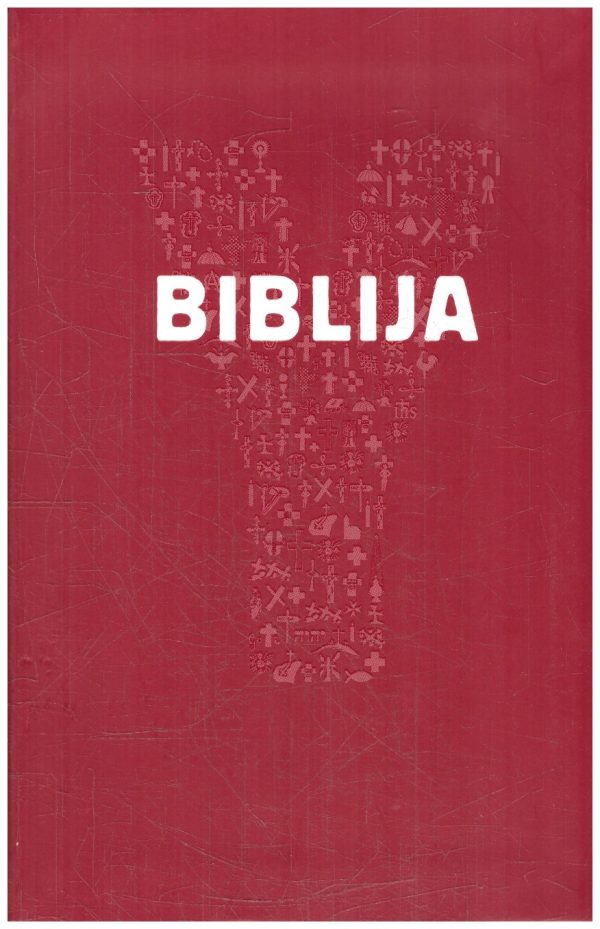Youcat lietuviškas. Biblija. Šventasis Raštas jaunimui
