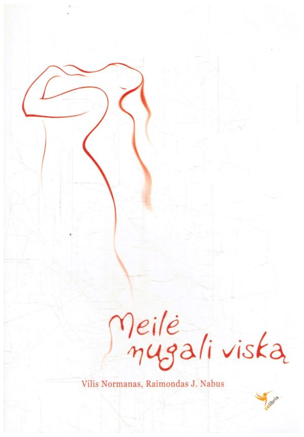 Meilė nugali viską - Vilis Normanas, Raimondas J. Nabus