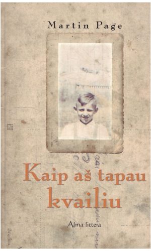 Kaip aš tapau kvailiu - Martin Page