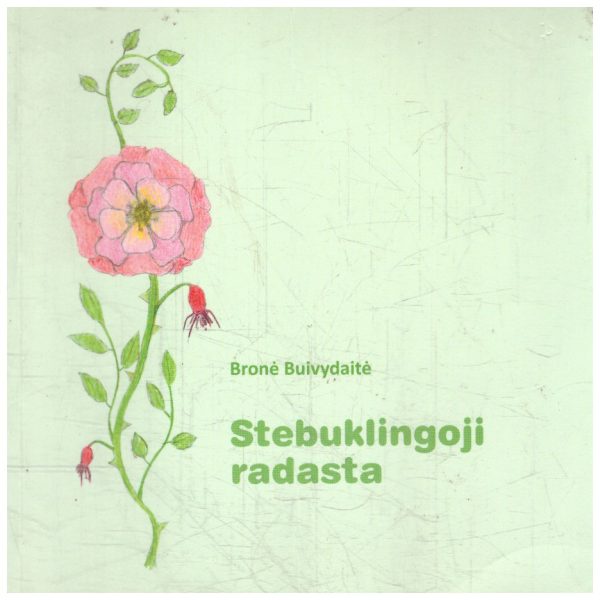 Stebuklingoji radasta - Bronė Buivydaitė