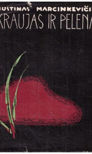 Kraujas ir pelenai - Justinas Marcinkevičius