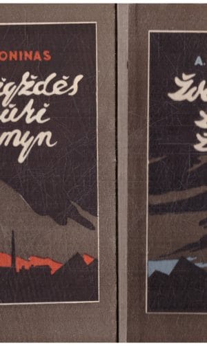 Žvaigždės žiūri žemyn (1,2 tomai) - A. Kroninas