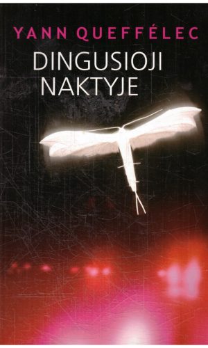 Dingusioji naktyje - Yann Queffelec