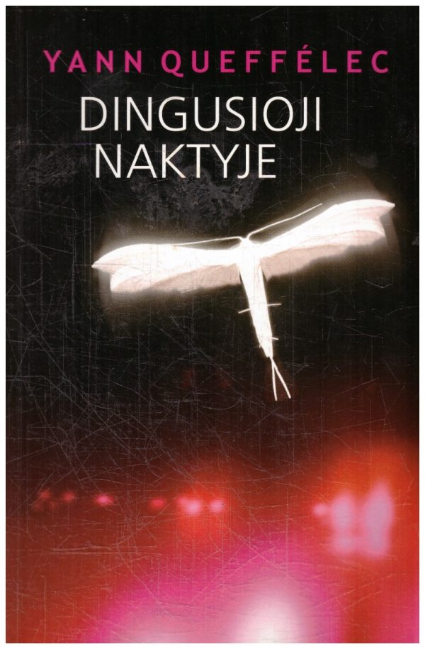 Dingusioji naktyje - Yann Queffelec