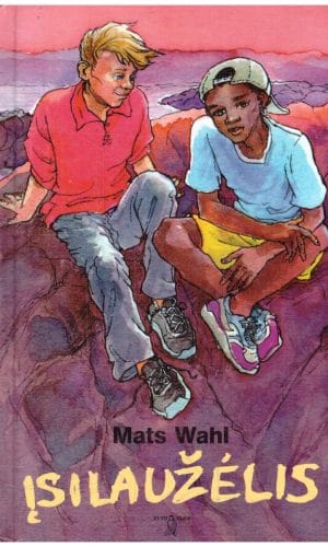 Įsilaužėlis - Mats Wahl