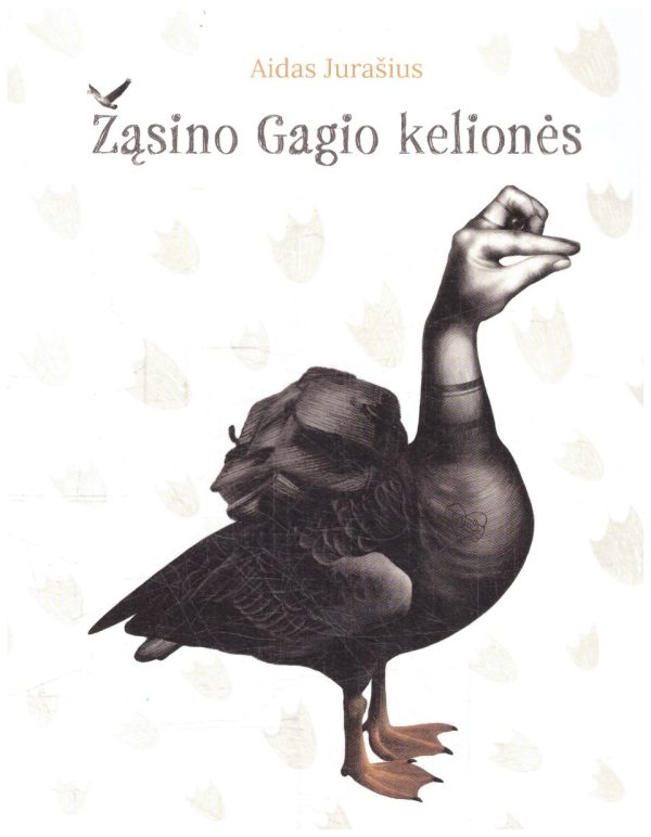 Žąsino Gagio kelionės - Aidas Jurašius