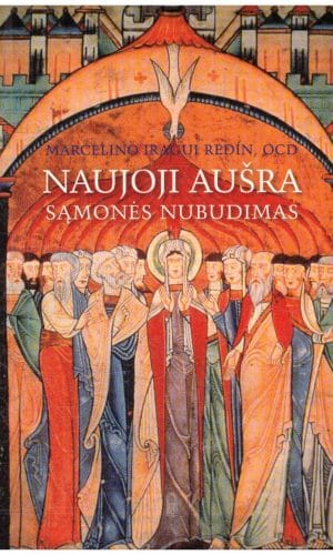 Naujoji aušra: sąmonės nubudimas - Marcelino Iragui Redín, OCD