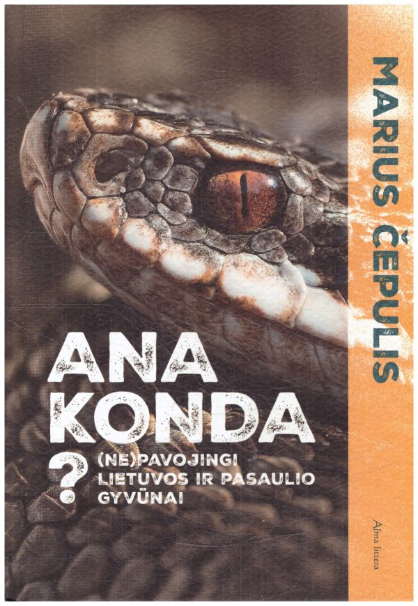 Ana konda? - Marius Čepulis