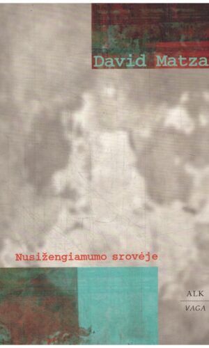 Nusižengiamumo srovėje - David Matza