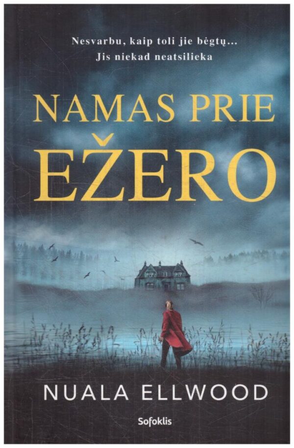 Namas prie ežero - Nuala Ellwood