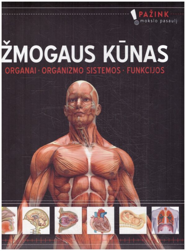 Žmogaus kūnas: organai, organizmo sistemos, funkcijos