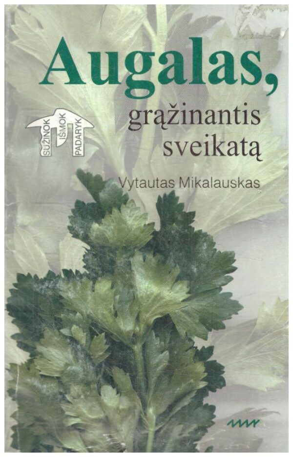 Augalas, grąžinantis sveikatą: viskas iš salierų - Vytautas Mikalauskas